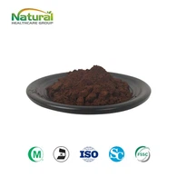 Detholiad Ganoderma Powdwr