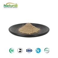 Powdwr Detholiad Magnolia Officinalis