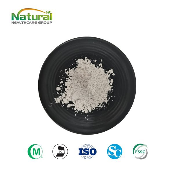 Salicin Powdwr Detholiad Salix Alba 98%