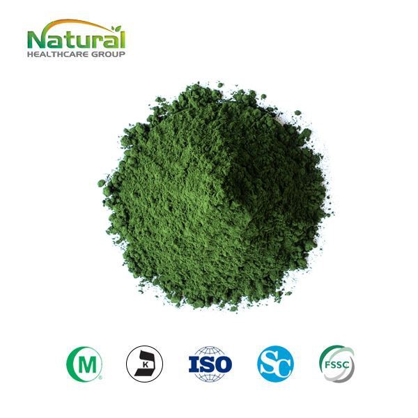 Swmp Powdwr Chlorella