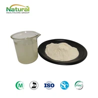 Powdwr Detholiad Yeast