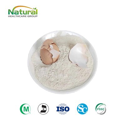 Powdwr Pilen Cregyn Wy