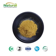 Phosphatidylcholine Swmp Powdwr